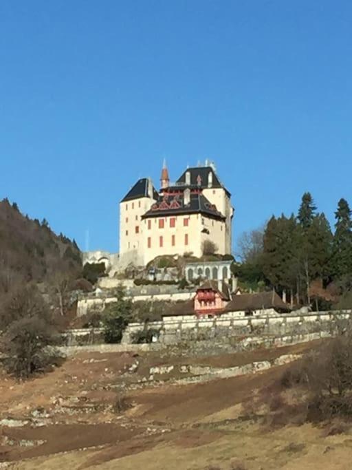 Maison De Vacances 220M2 Vue Lac Et Chateau Menthon-Saint-Bernard Exterior photo